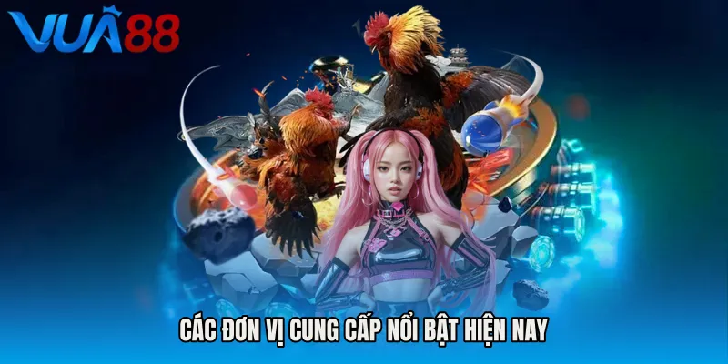 Các Đơn Vị Cung Cấp Nổi Bật Hiện Nay