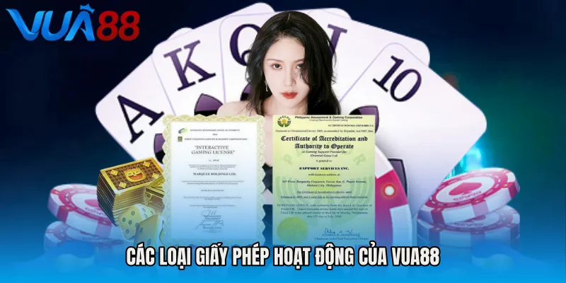 Các loại giấy phép hoạt động của VUA88