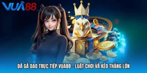 Đá Gà Dao Trực Tiếp VUA88 - Luật Chơi Và Kèo Thắng Lớn
