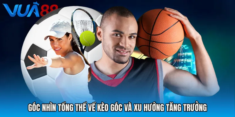 Góc Nhìn Tổng Thể Về Kèo Góc Và Xu Hướng Tăng Trưởng