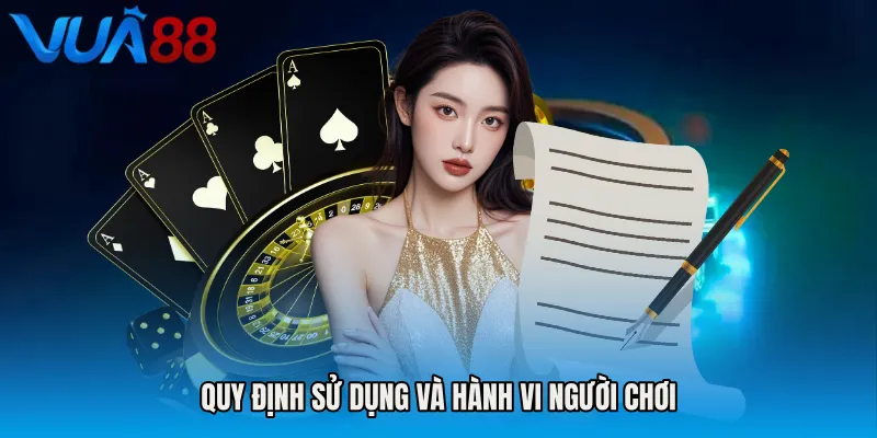 Quy định sử dụng và hành vi người chơi